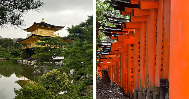 京都旅拍日记 - 吃瓜视频